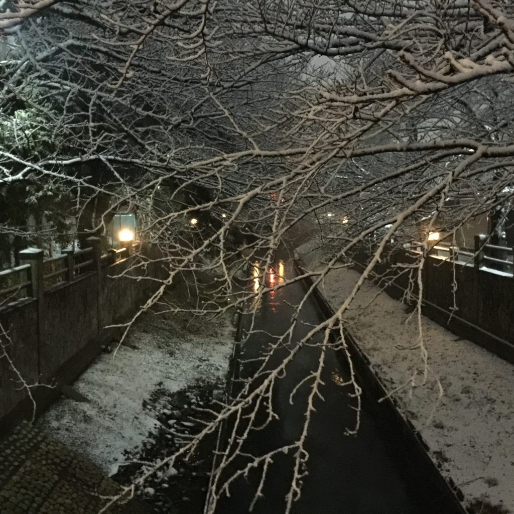 2018年1月22日の真間川の積雪
