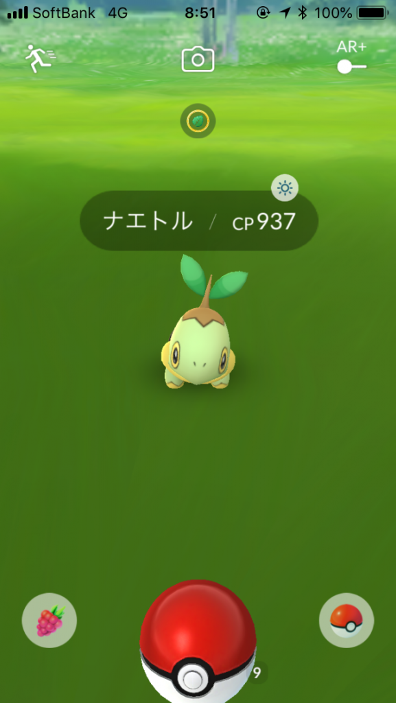 シンオウ地方 PokemonGO ナエトル