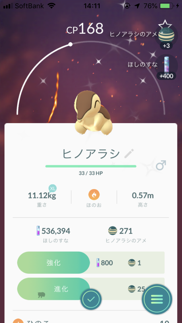 色違いのヒノアラシとバクフーン