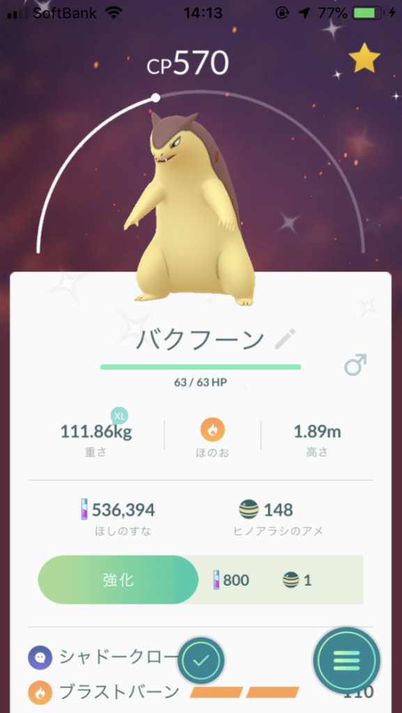 色違いのヒノアラシとバクフーン