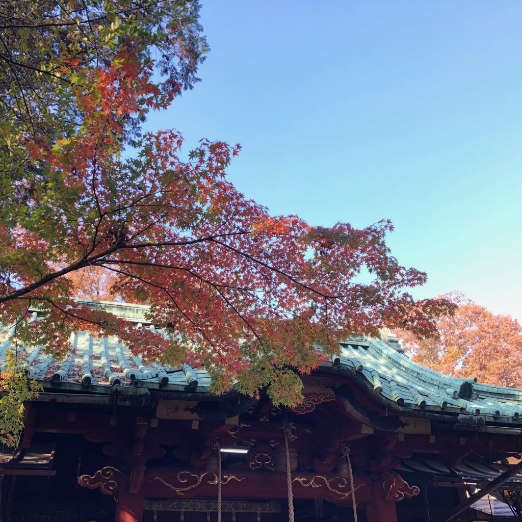 赤坂氷川神社 紅葉