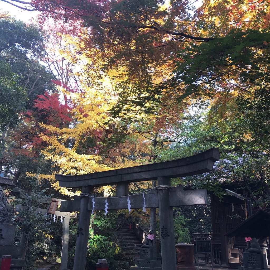 赤坂氷川神社 紅葉