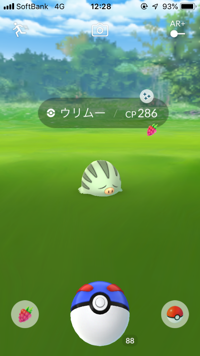 色違いウリムー