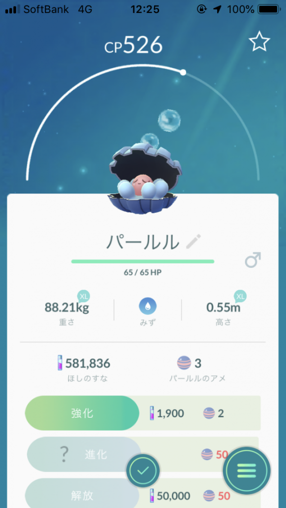 パールル(ノーマルカラー)