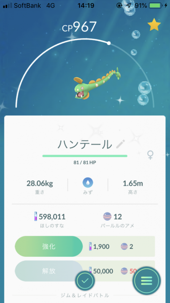 ハンテール(色違い)