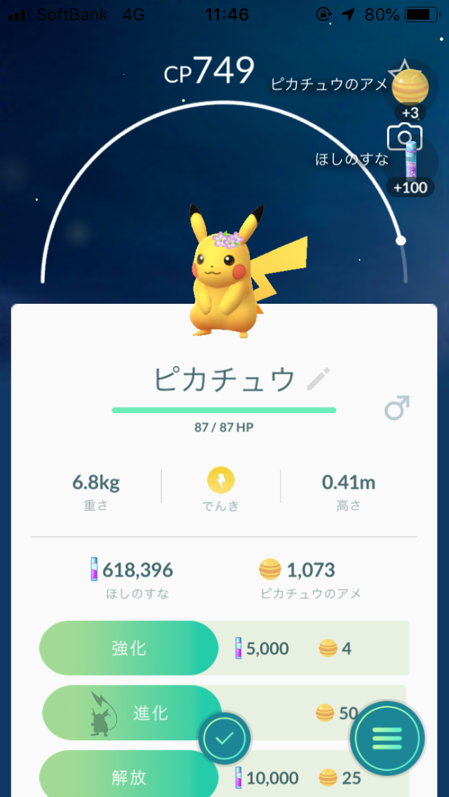 頭に花をつけたピカブイ