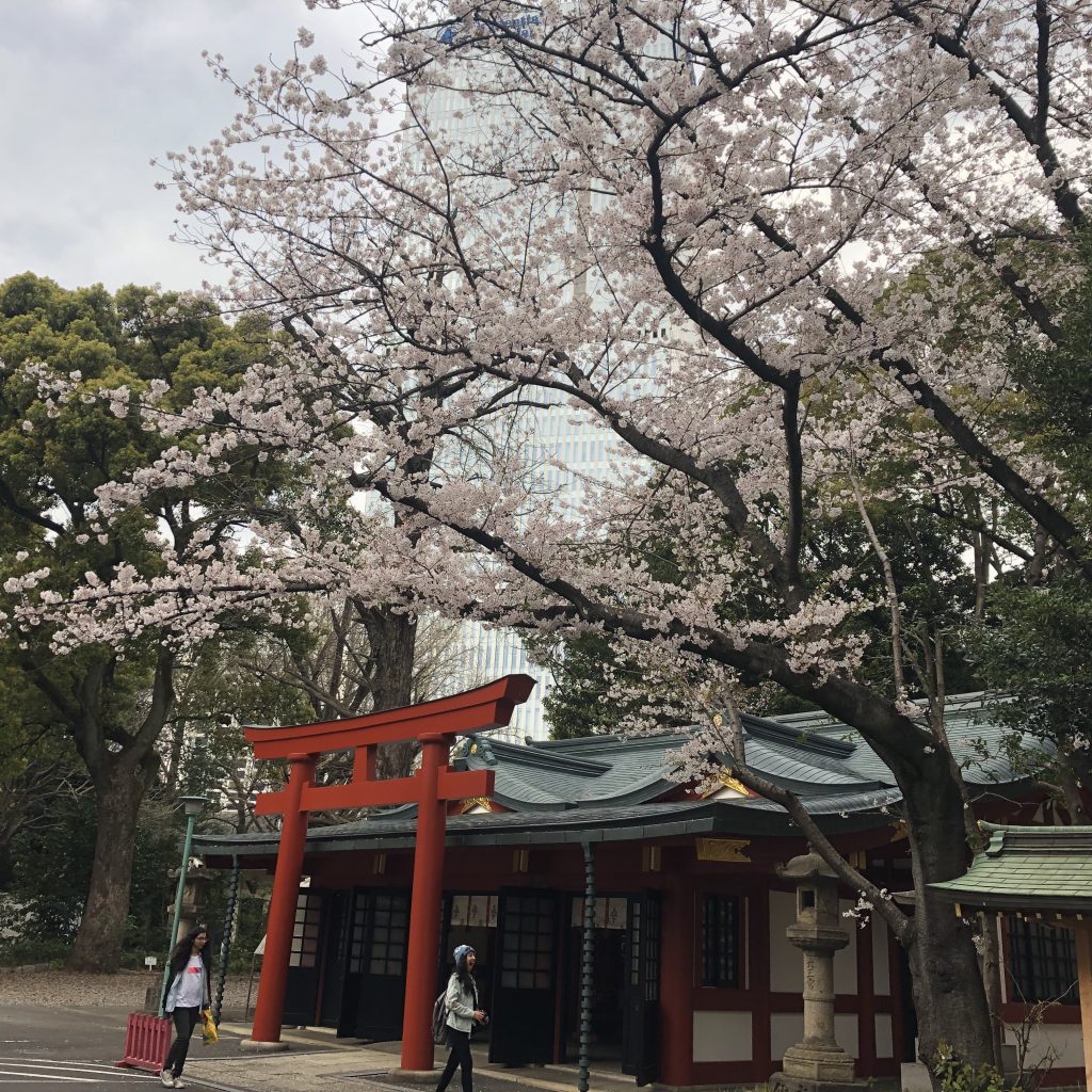 日枝神社の一角の神社と桜