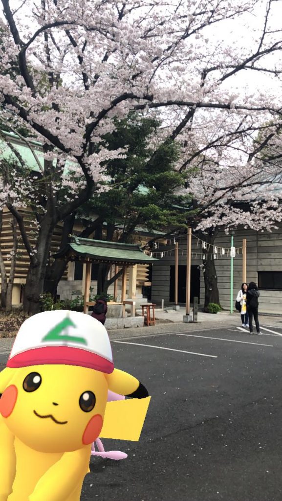 サトシのピカチュウと桜