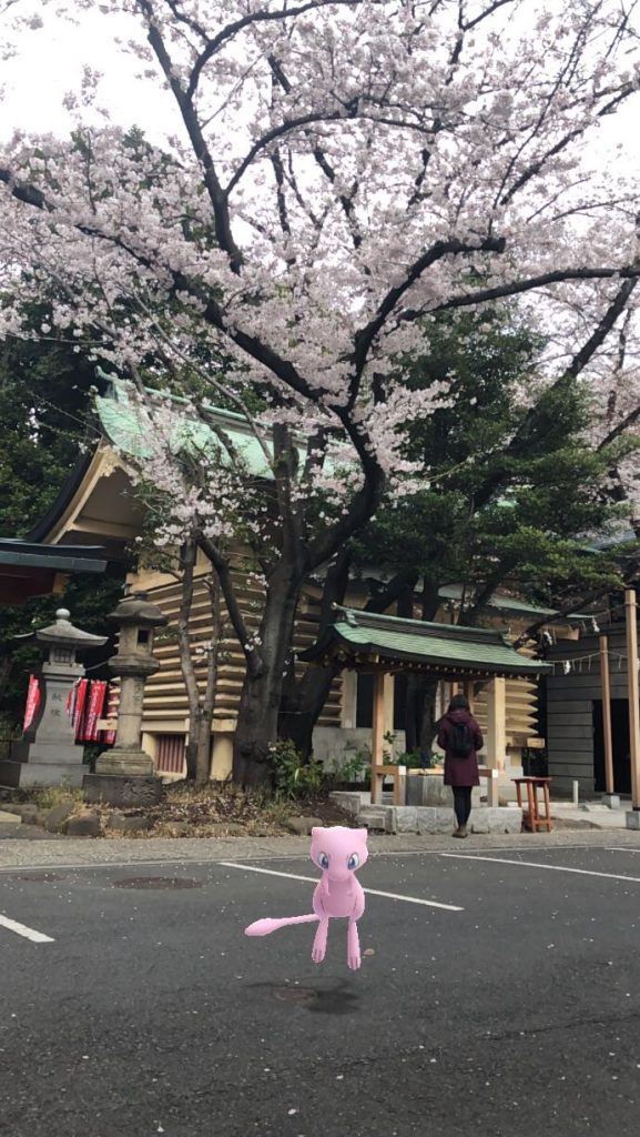 ミュウと桜