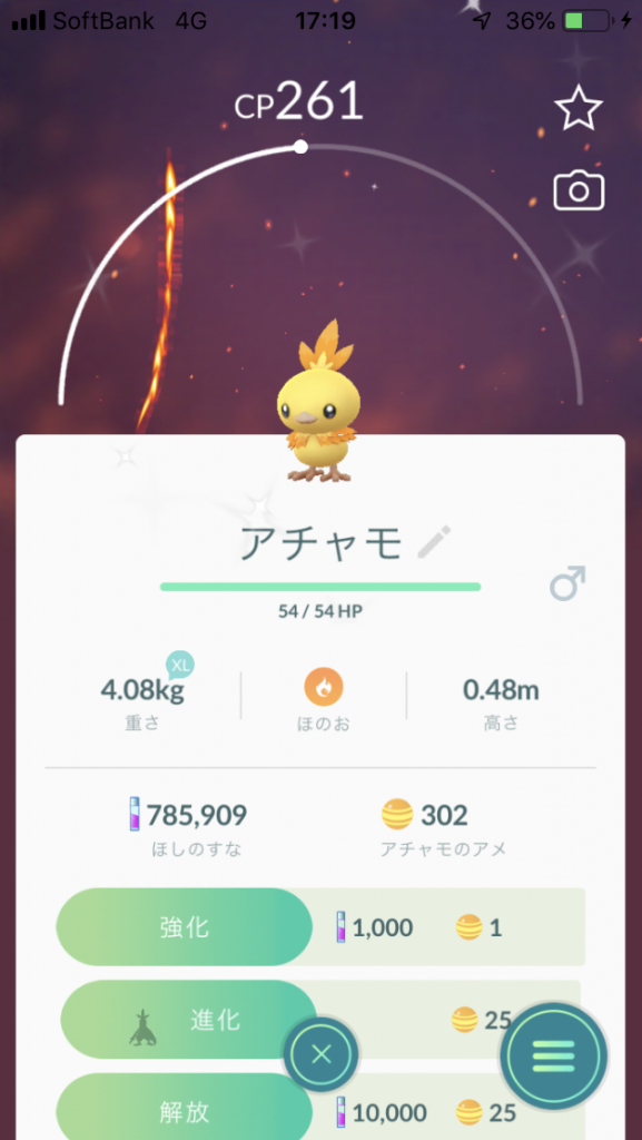 色違いのアチャモ ひよこみたいに黄色っぽい