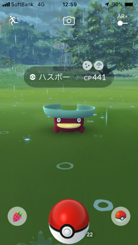 色違いのハスボー 頭が青緑色で体が濃いめの茶色