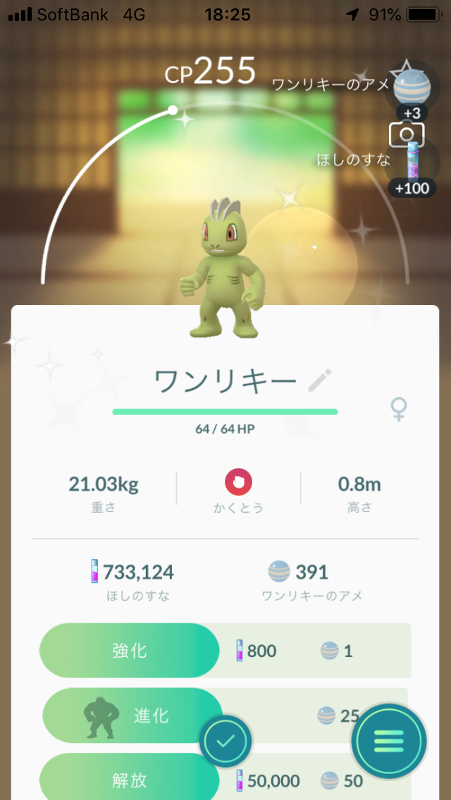 色違いのワンリキー