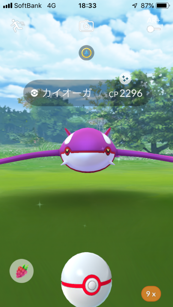 色違いカイオーガ 紫色