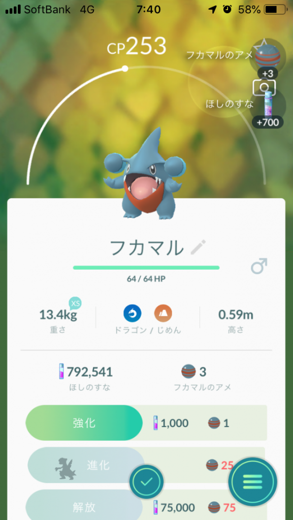 Pokemon GO フカマル