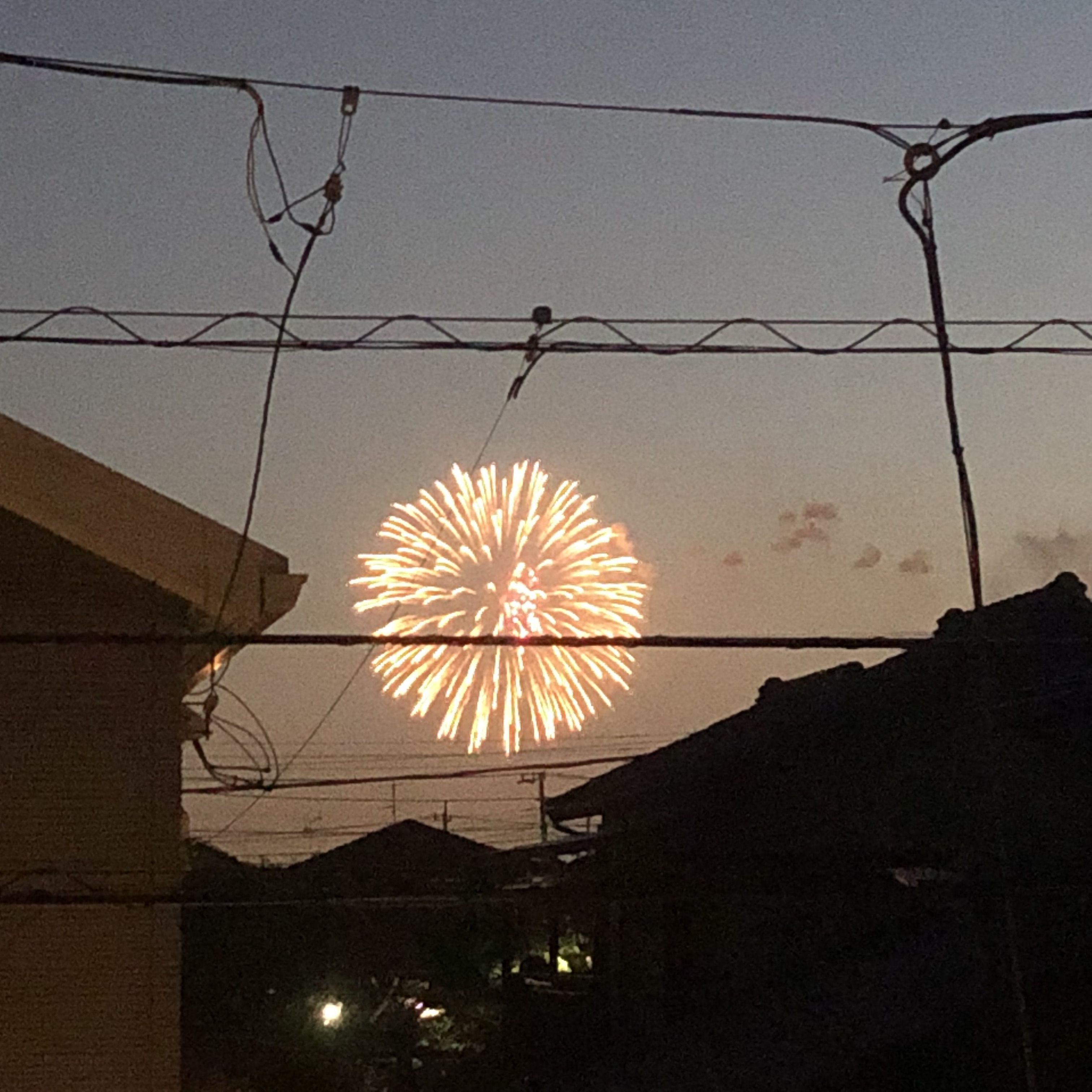江戸川の花火大会
