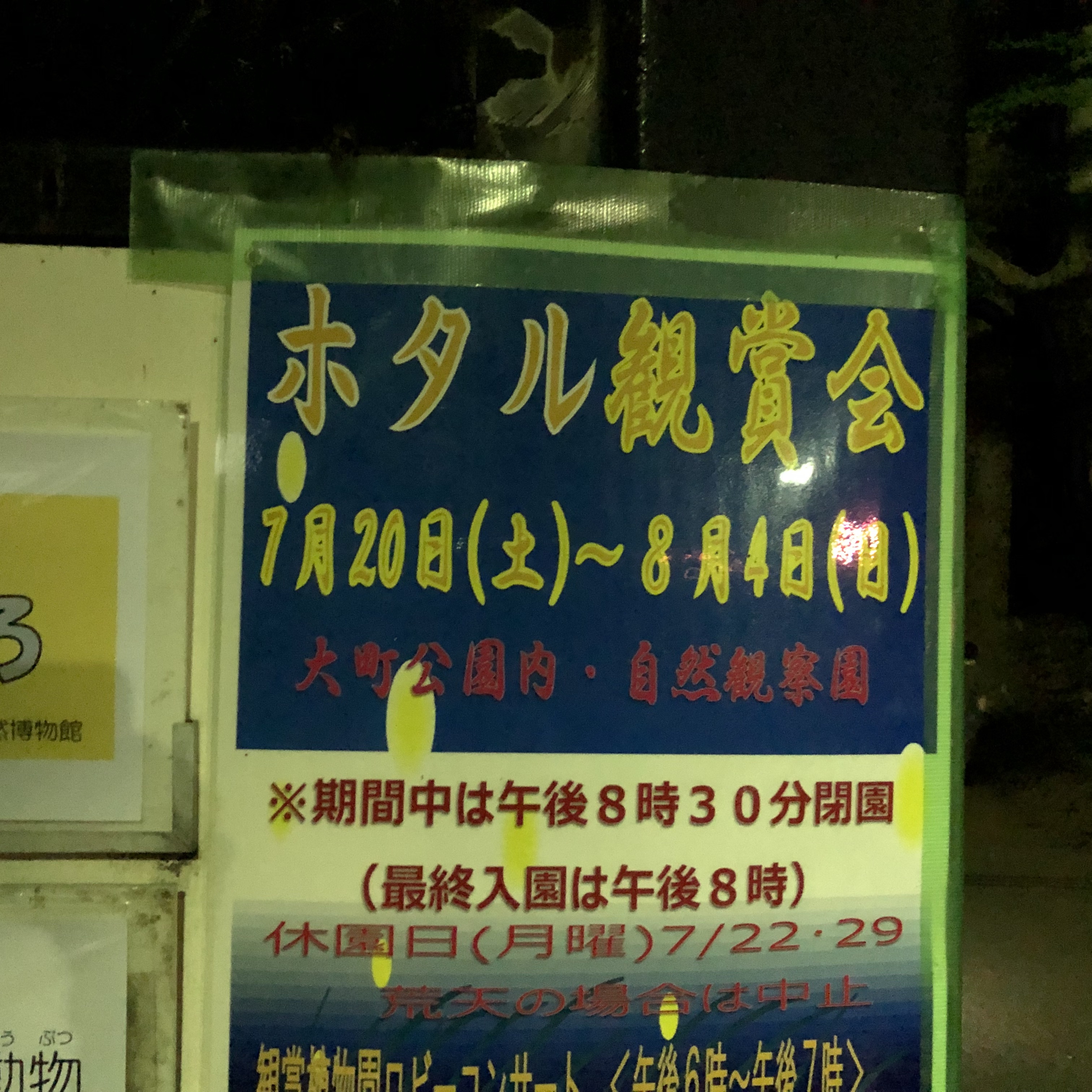 蛍の観賞会にいってきた