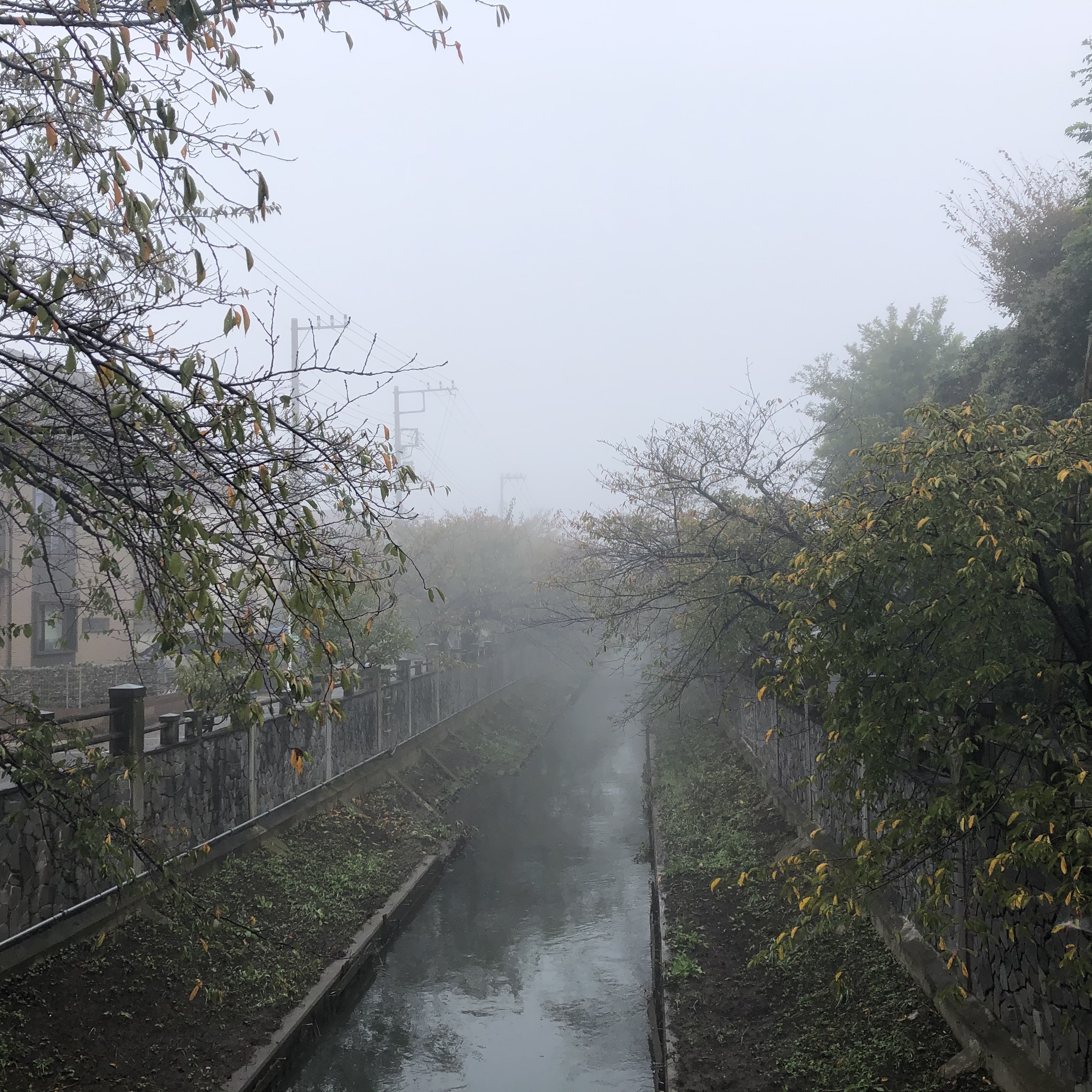 霧 2019年10月30日