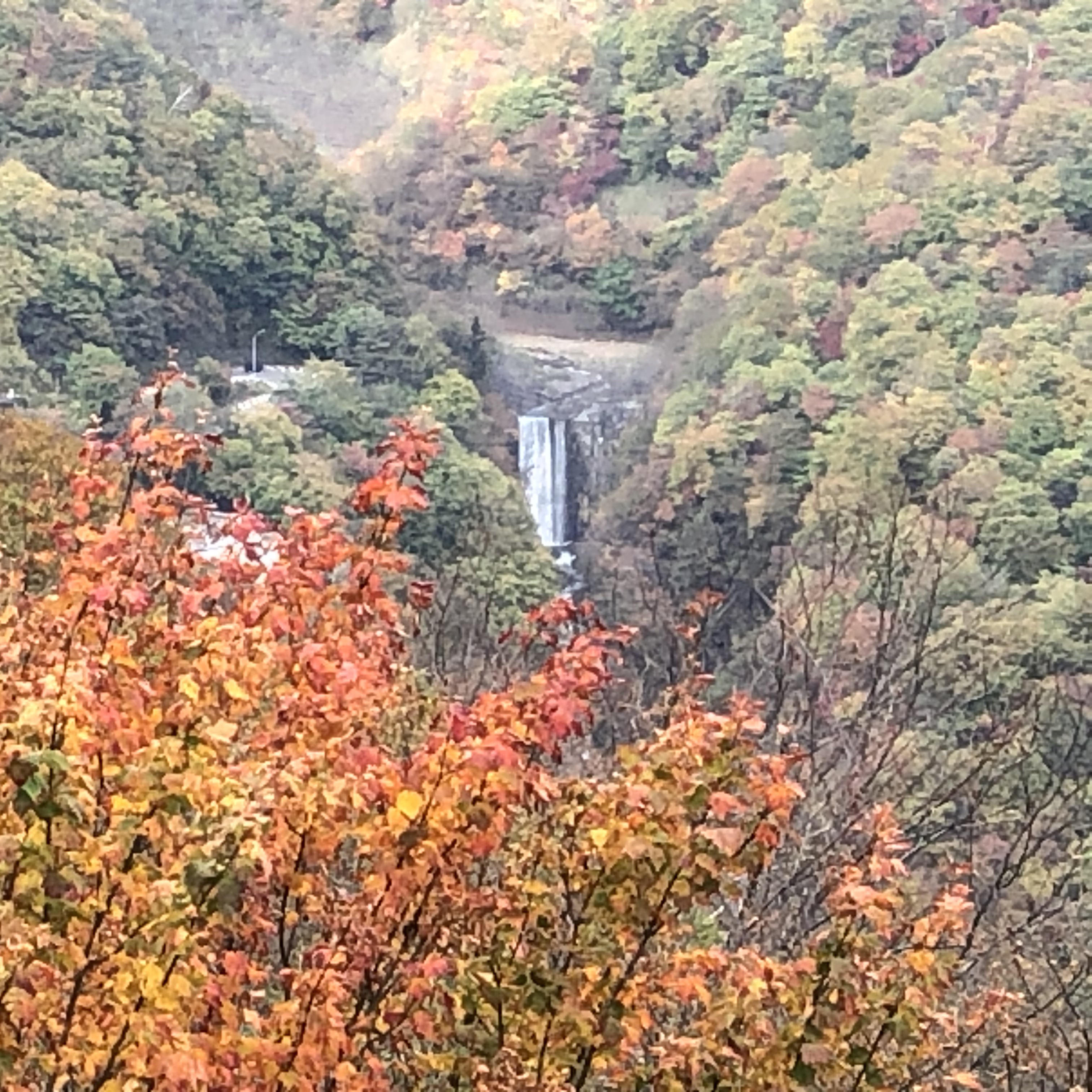 明智平からの眺め 一部で紅葉が進んでいる
