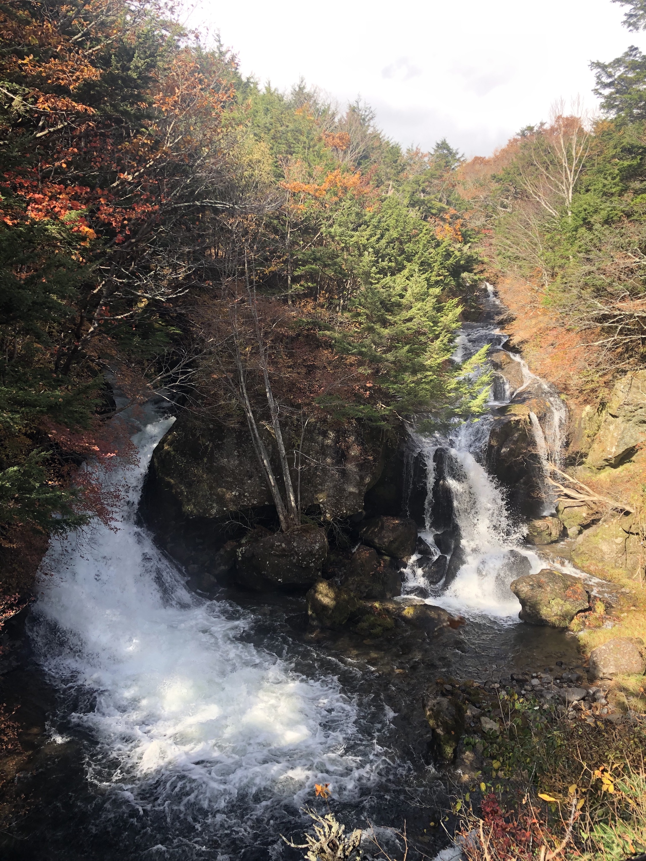 竜頭ノ滝　紅葉が始まったばかり