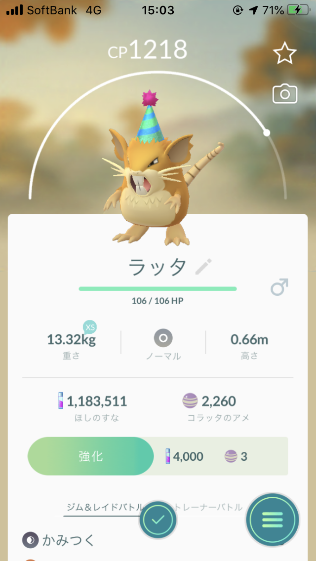 Pokemon GOの帽子をかぶったラッタ