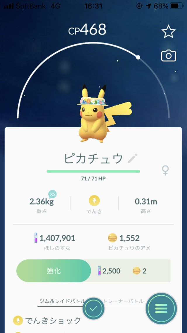 Pokemon GO 花柄の帽子をかぶったピカチュウ