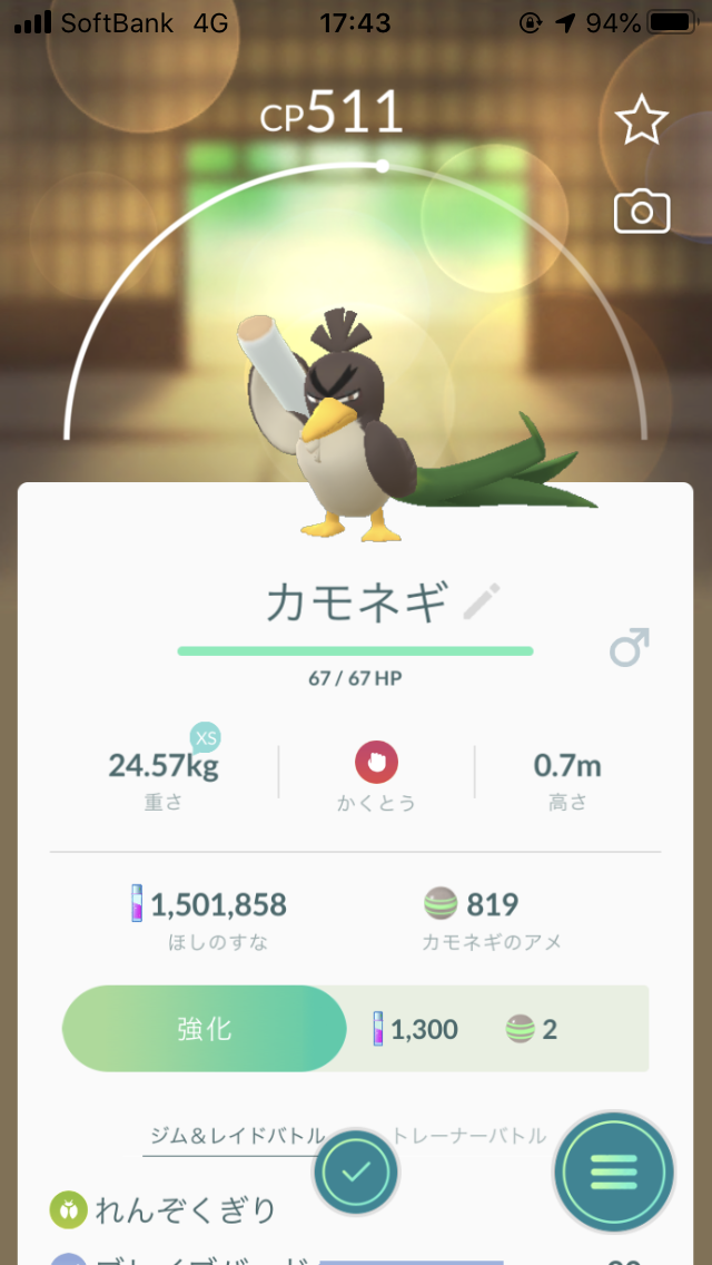 カモネギ ガラルの姿 PokeGOバージョン