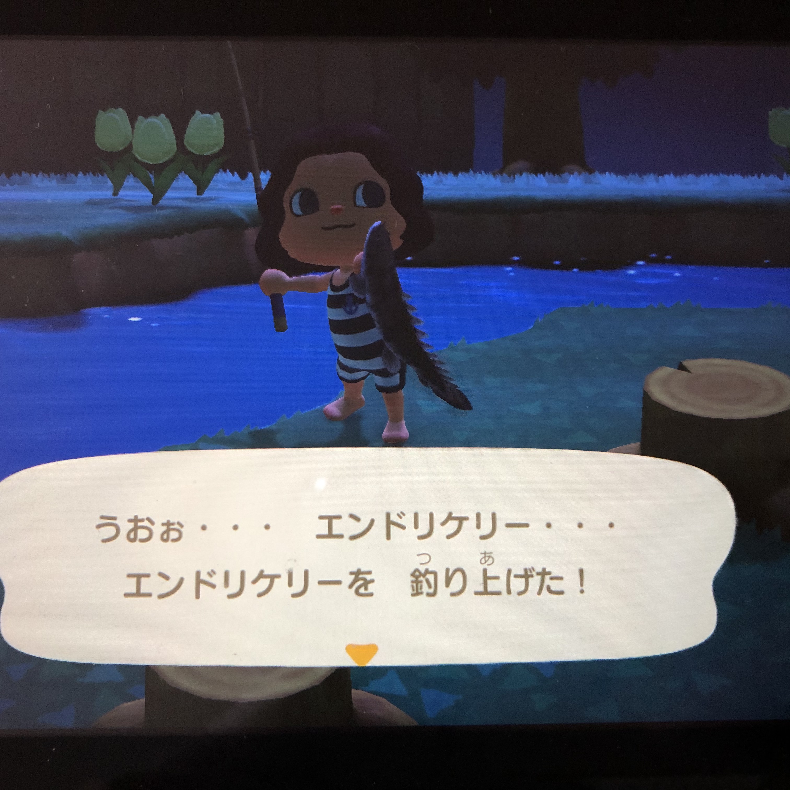 あつまれ動物の森 エンドリケリー