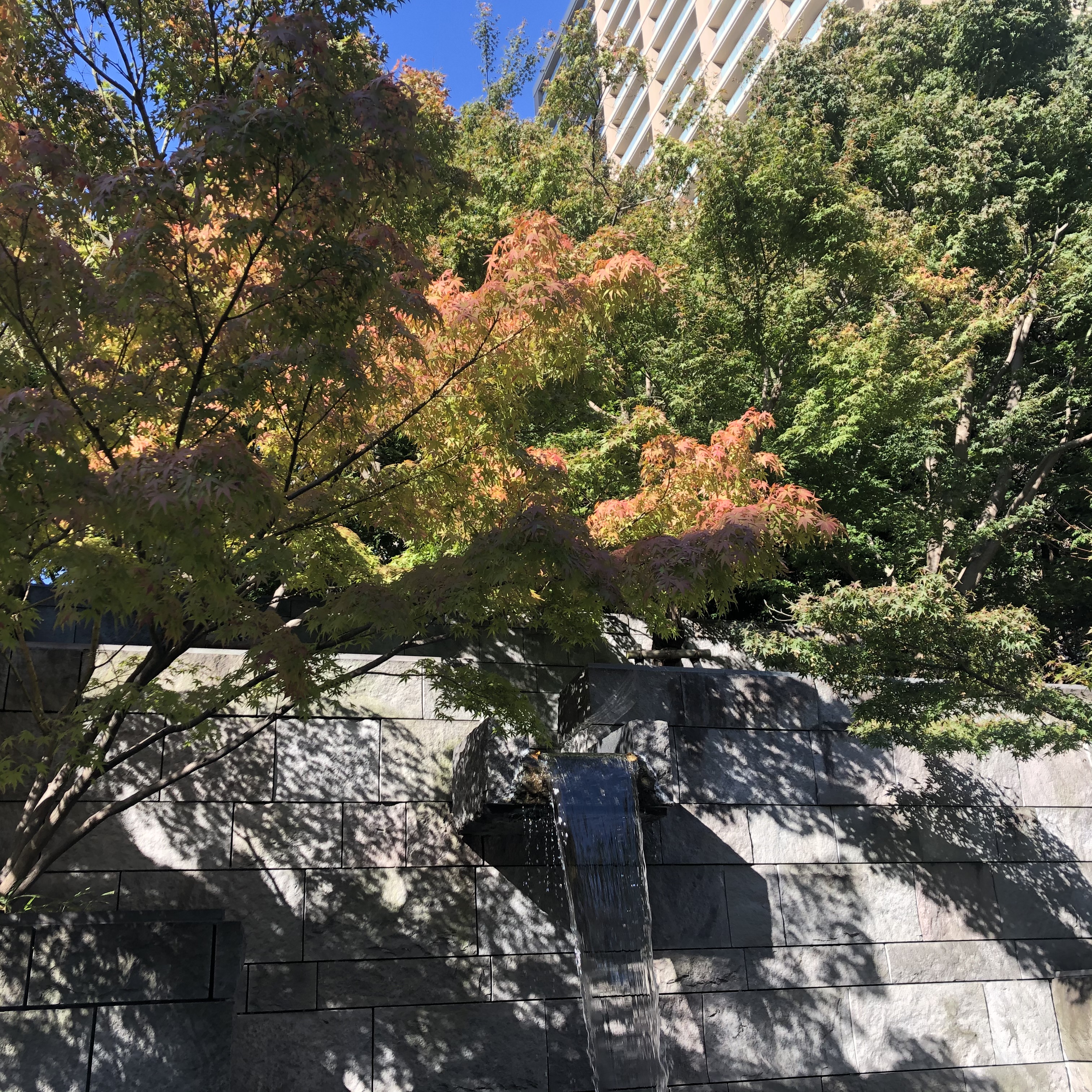 赤坂のとあるマンションの公開地 人工の滝と紅葉