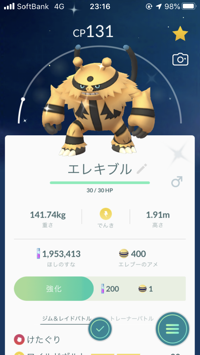 色違いエレキブル