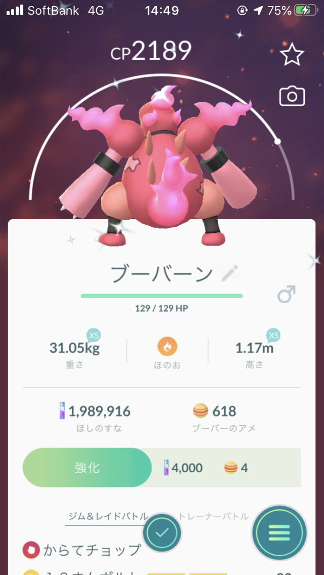 色違いブーバーン ピンク色のブーバーンの背中