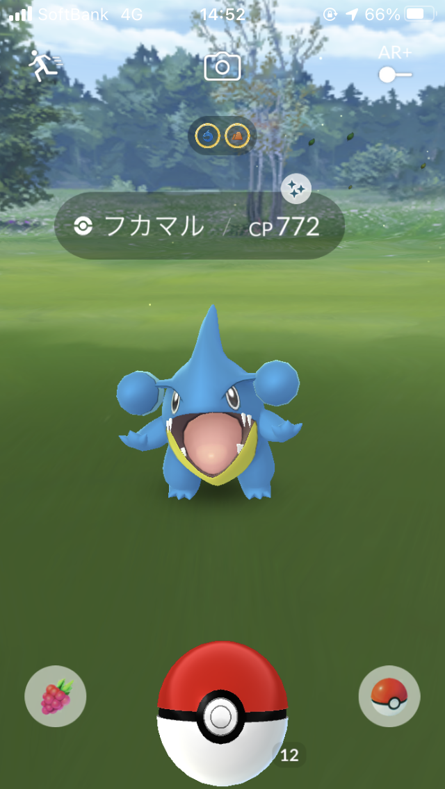 ガブリアスが欲しくて・・・