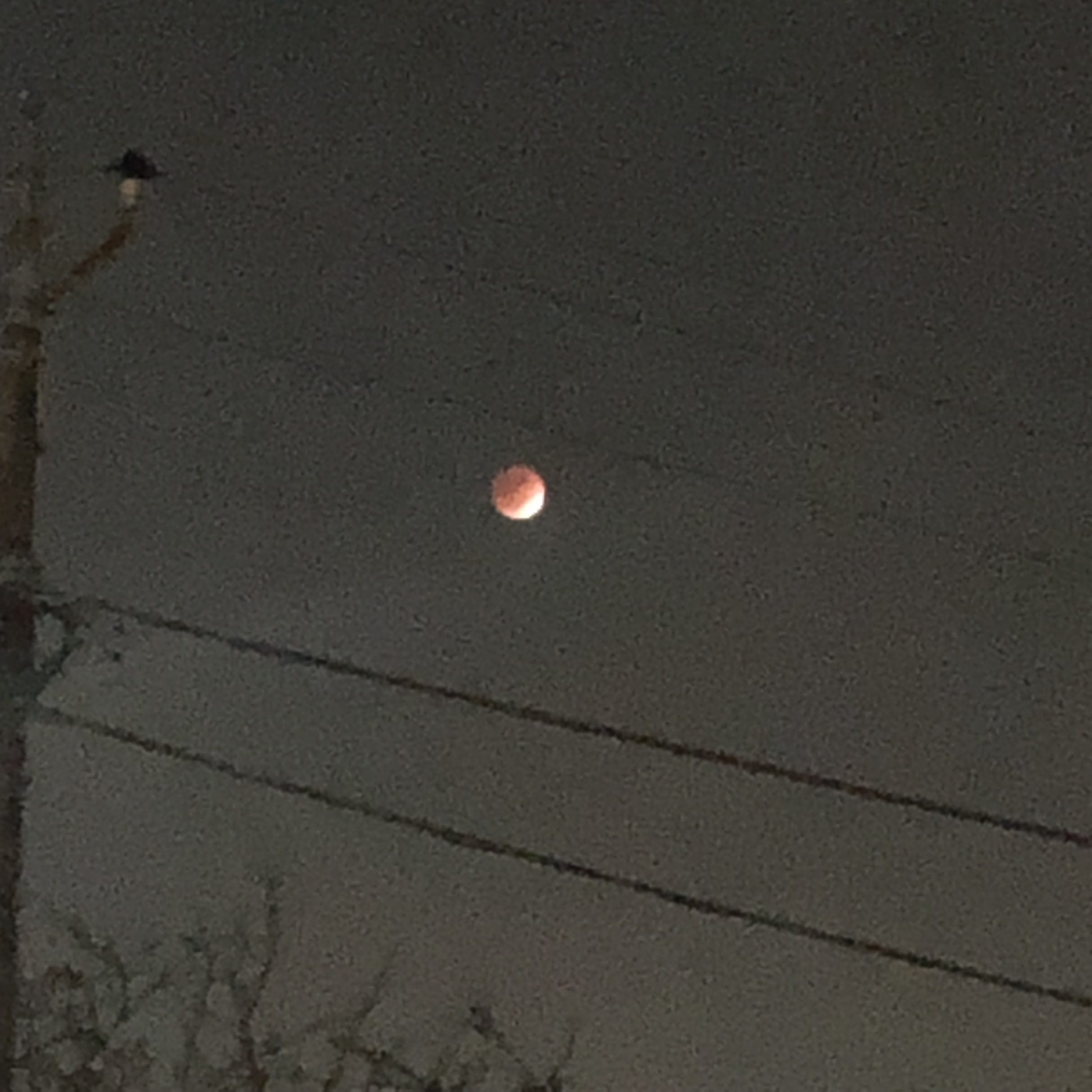 部分月蝕（2021/11/19）