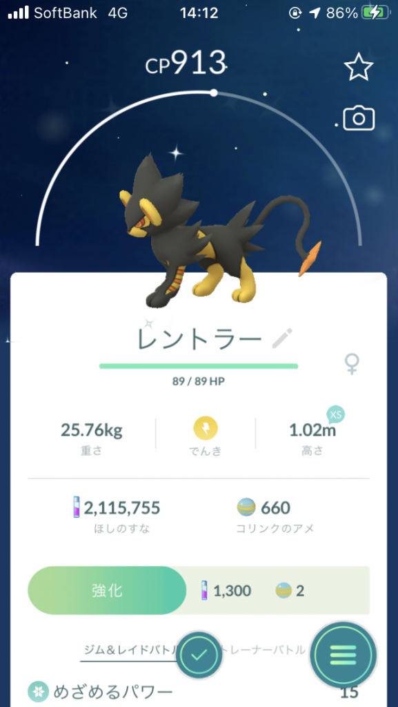 色違いレントラー 黒と黄のレントラー