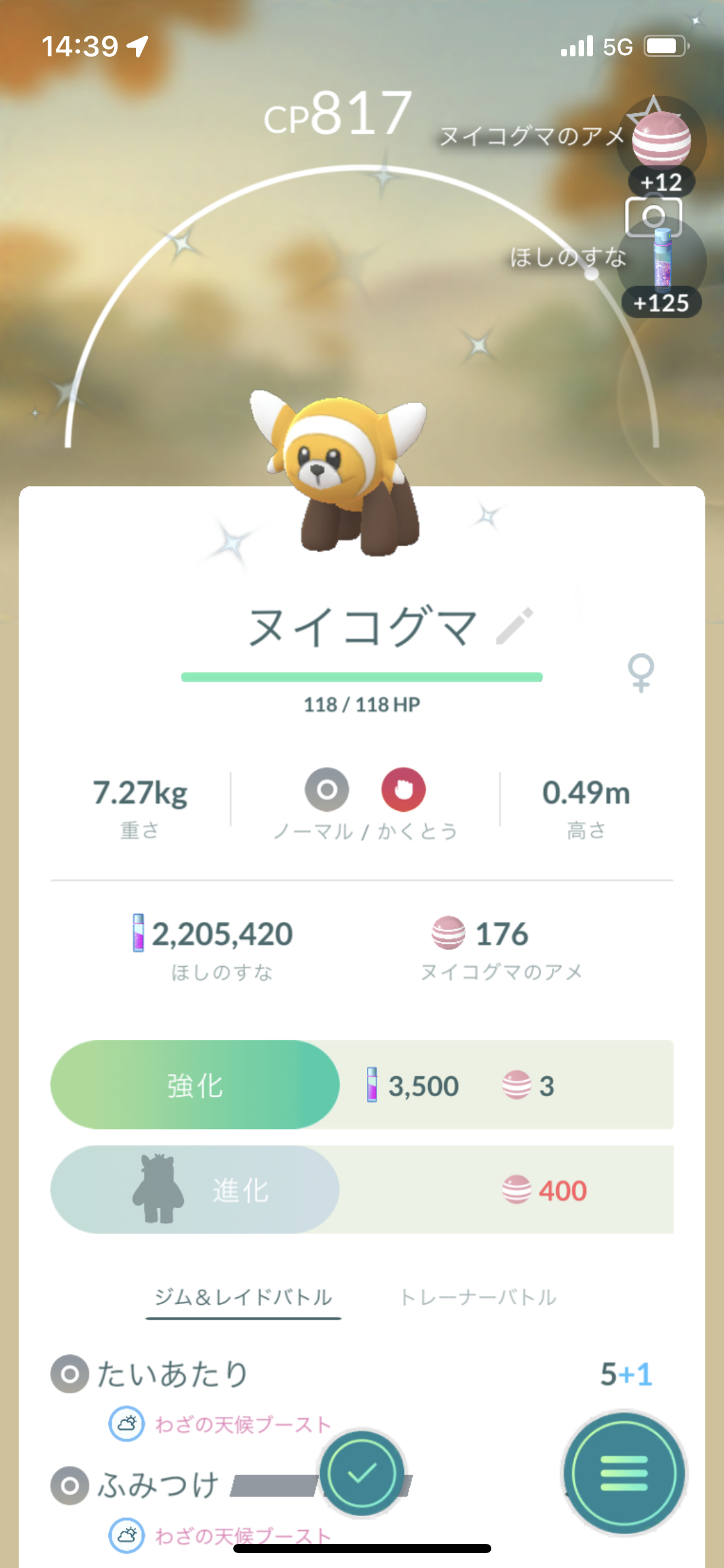 ヌイコグマのコミュニティーデー