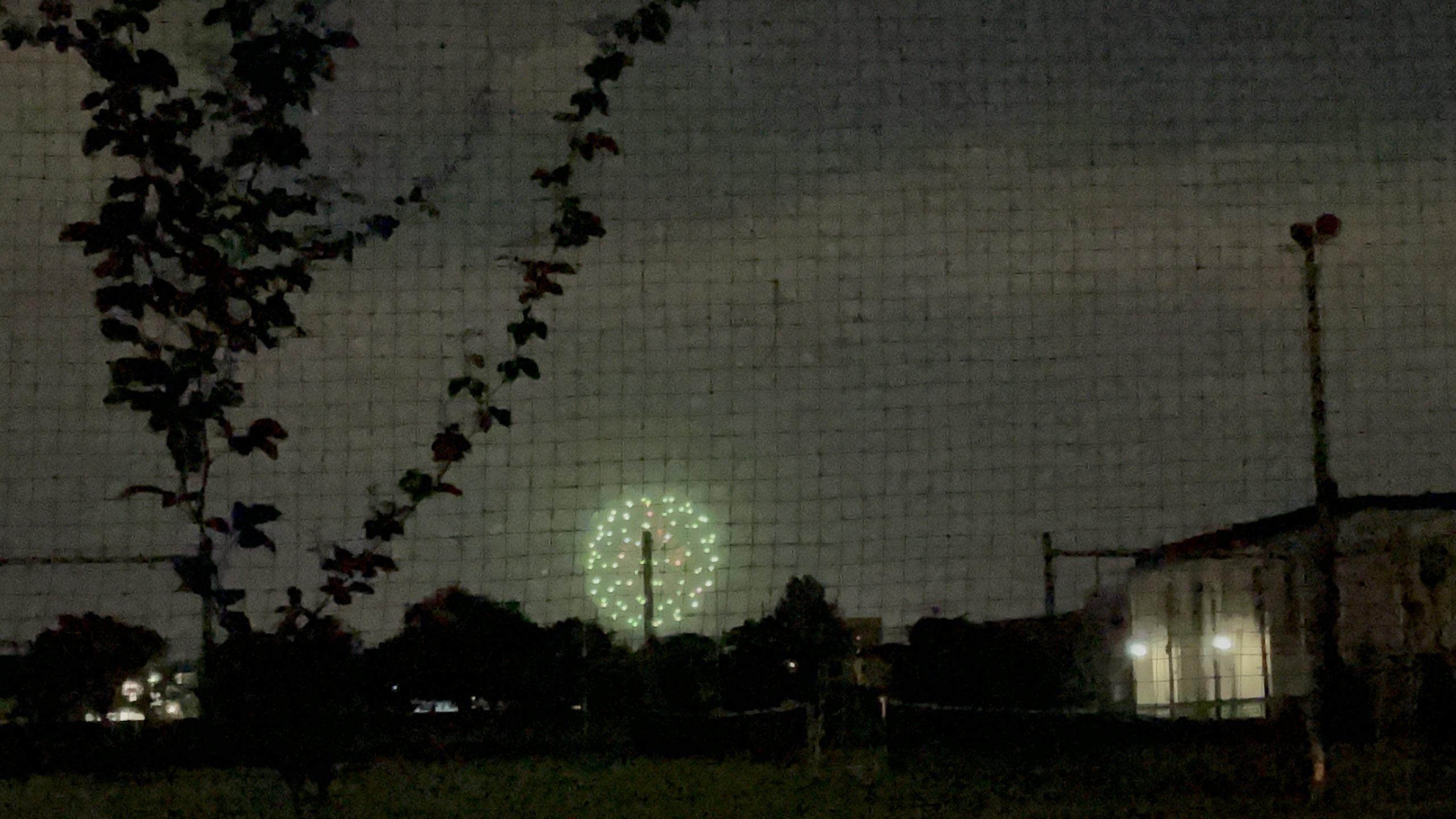 大きな花火が上がっていた