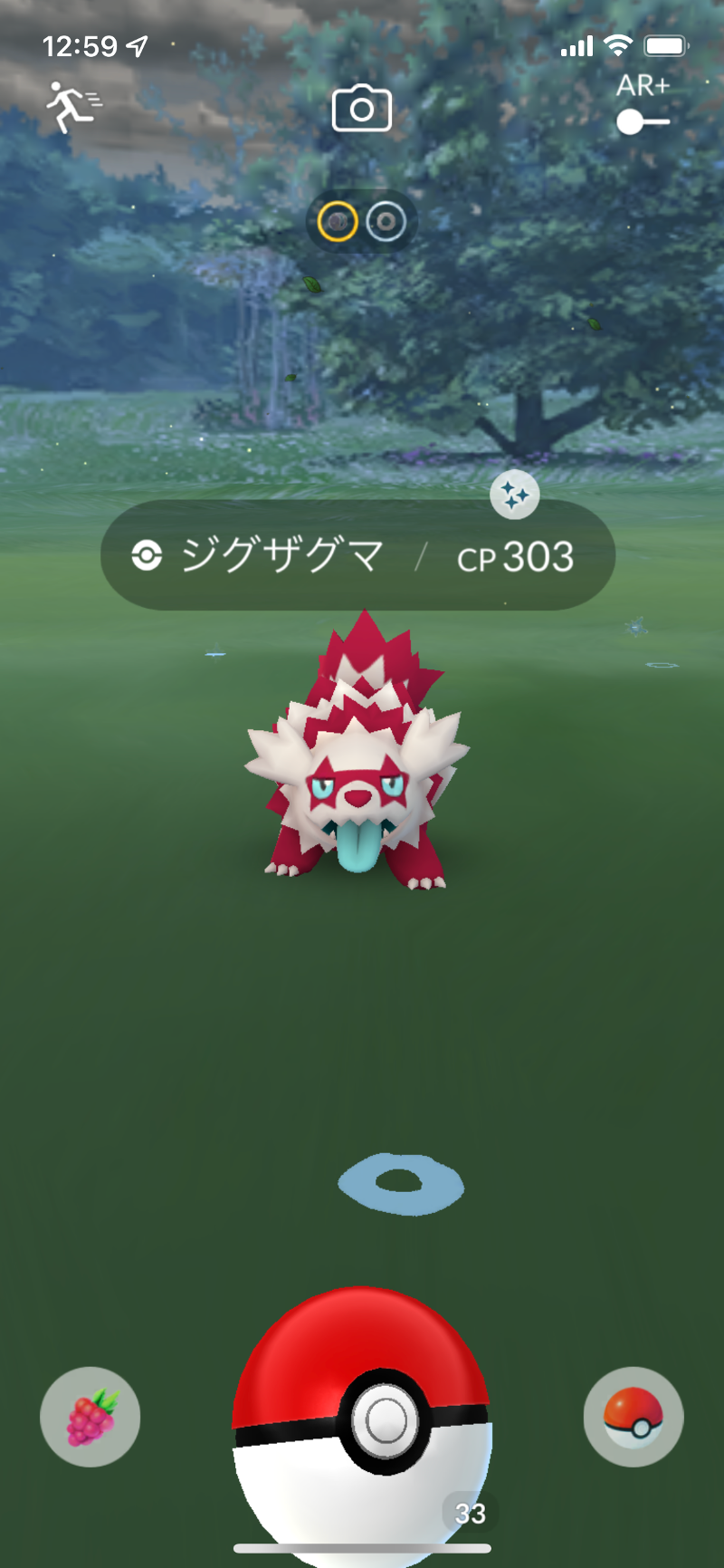 色違いのガラルジグザグマをゲット