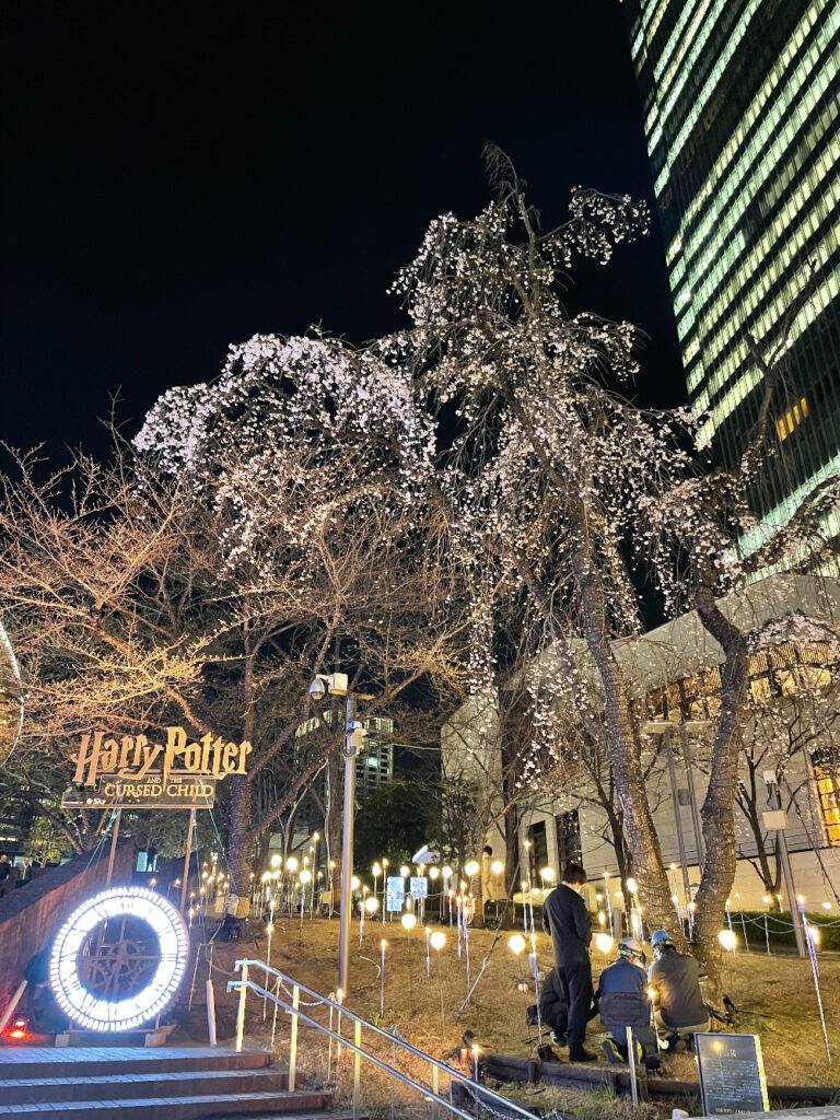 夜の三春桜