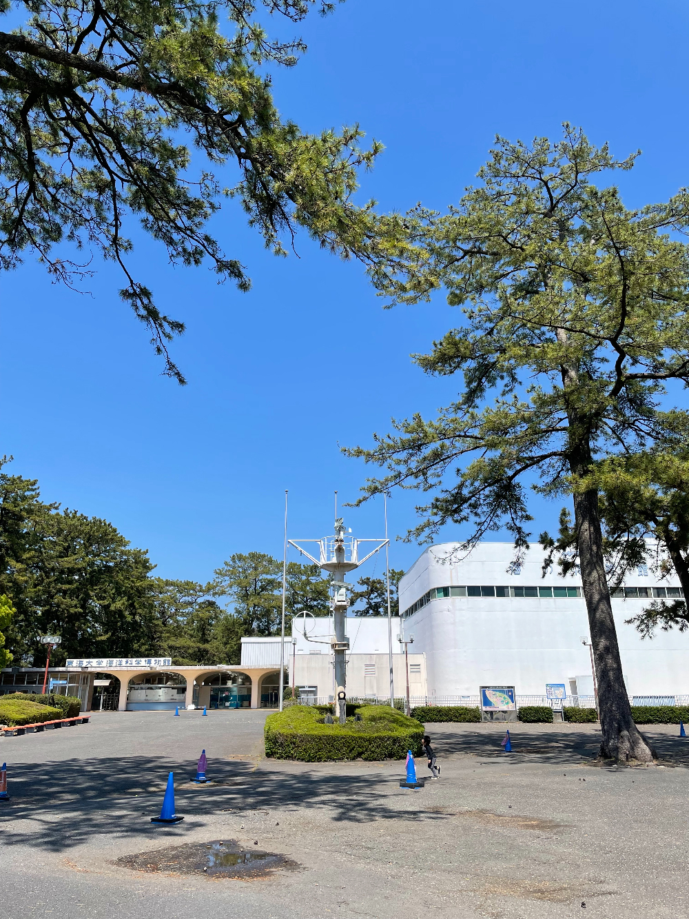 東海大学海洋科学博物館 海のはくぶつかんに行ったのだけど。