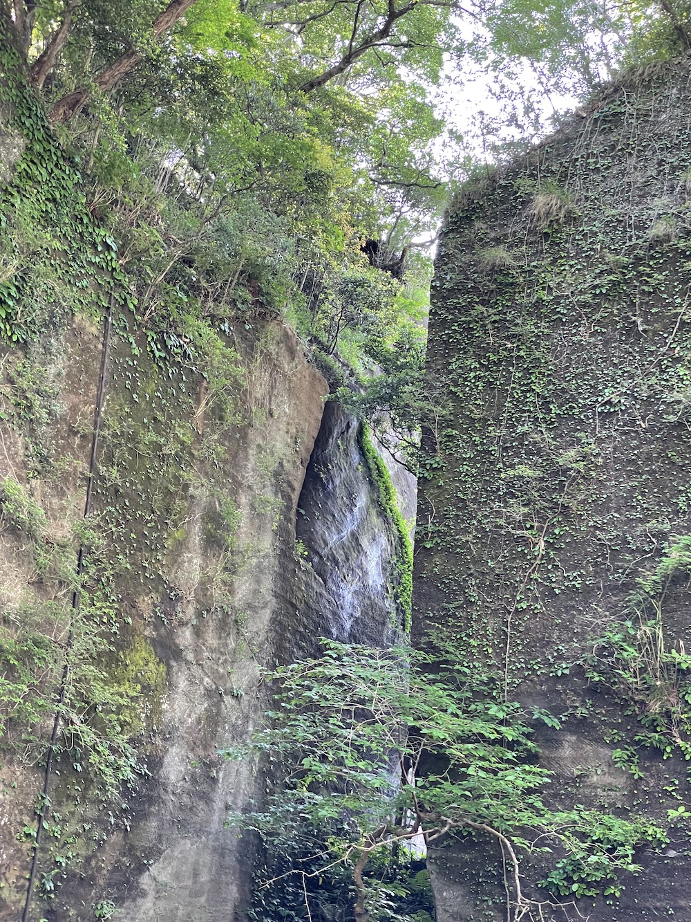 鋸山に登ってみた（車で）
