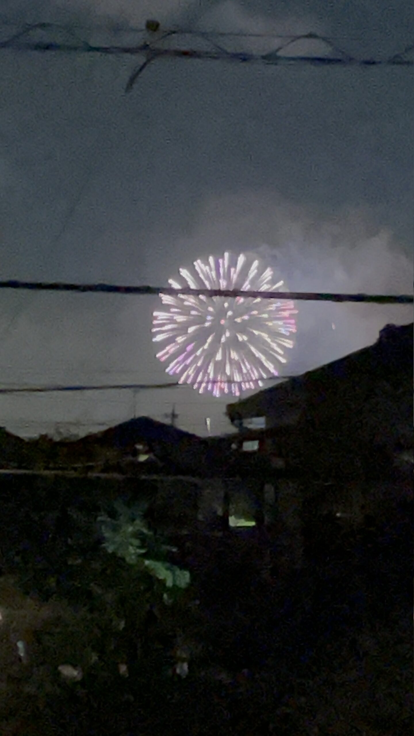 2023年の江戸川の花火大会