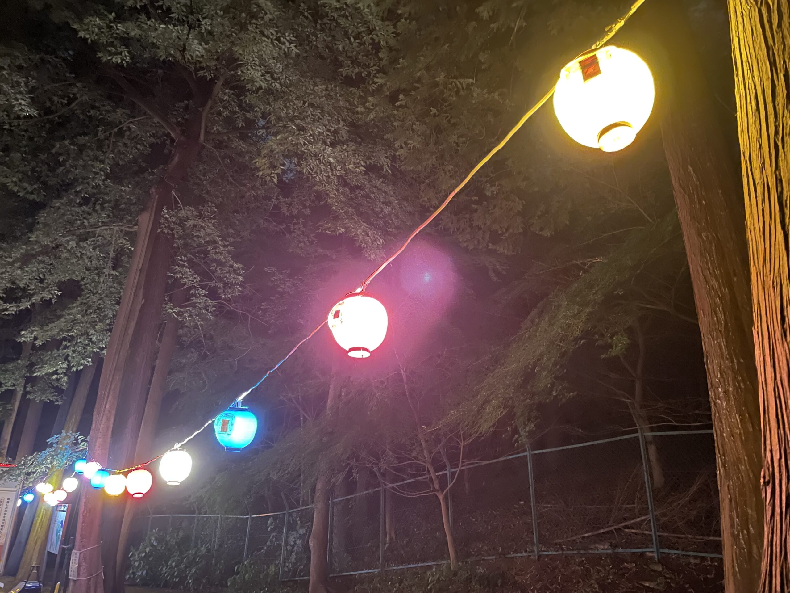 ホタル鑑賞会にいってきた（2023年）