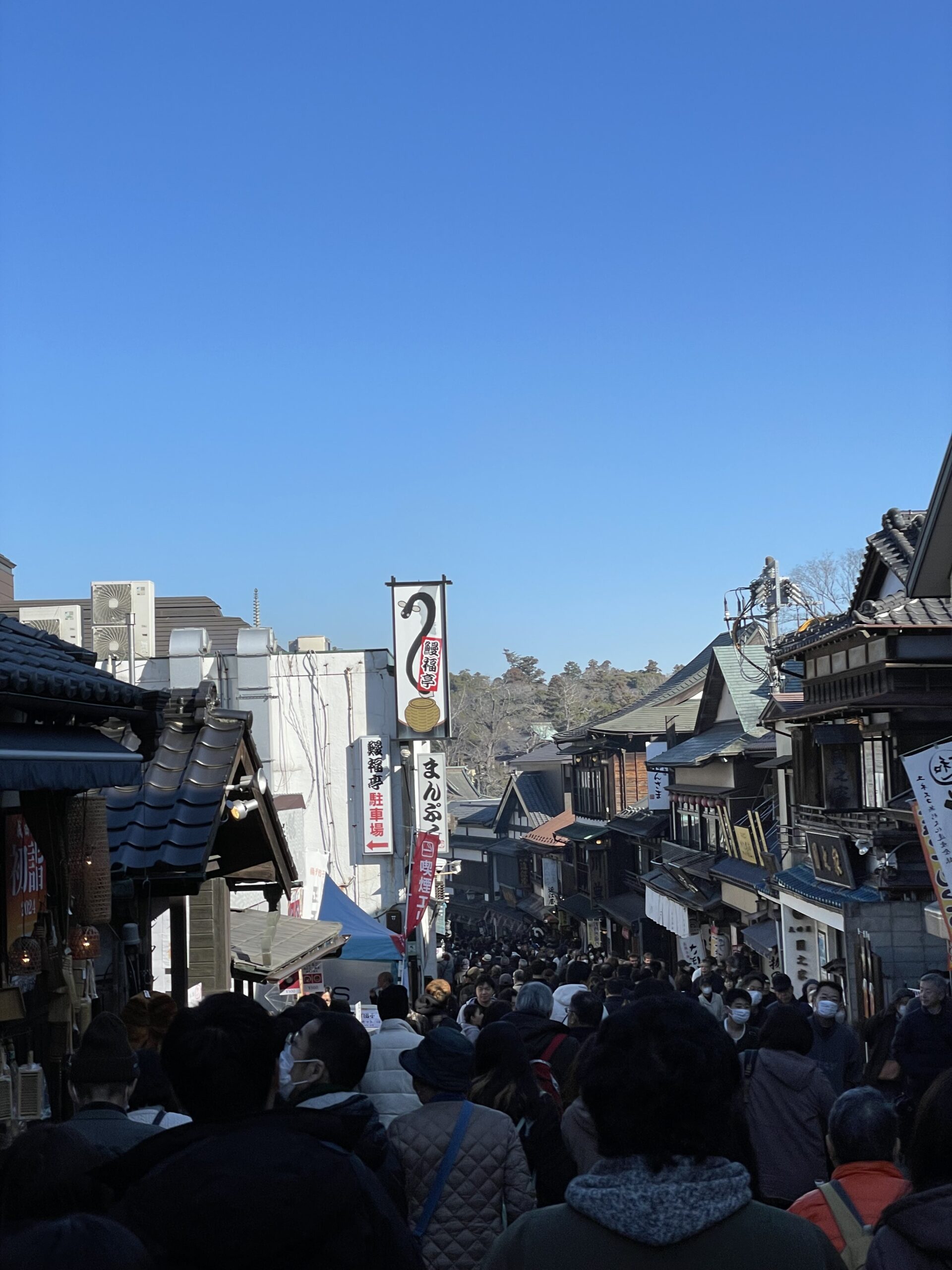 成田山新勝寺に初詣