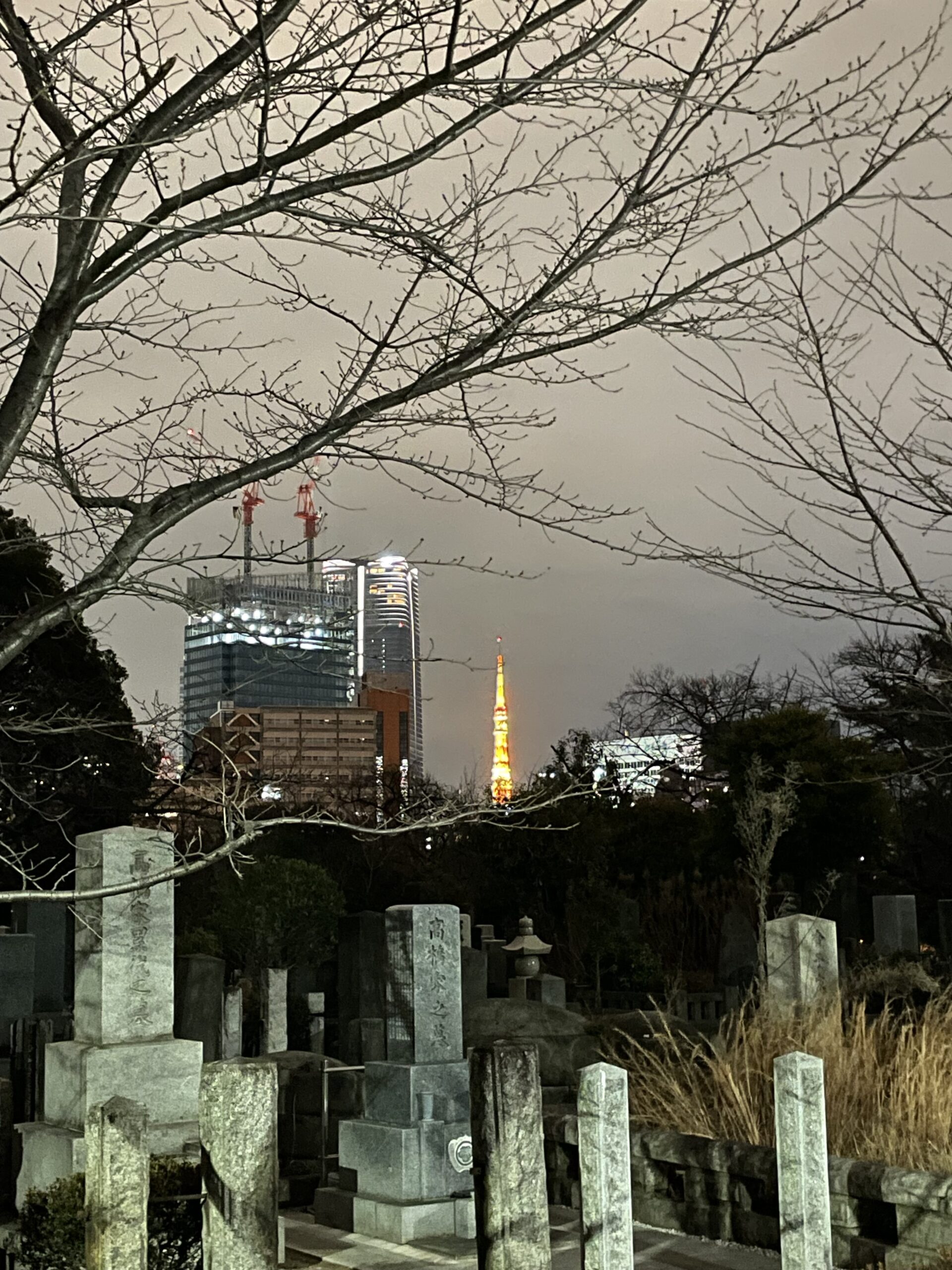 東京タワーと青山墓地