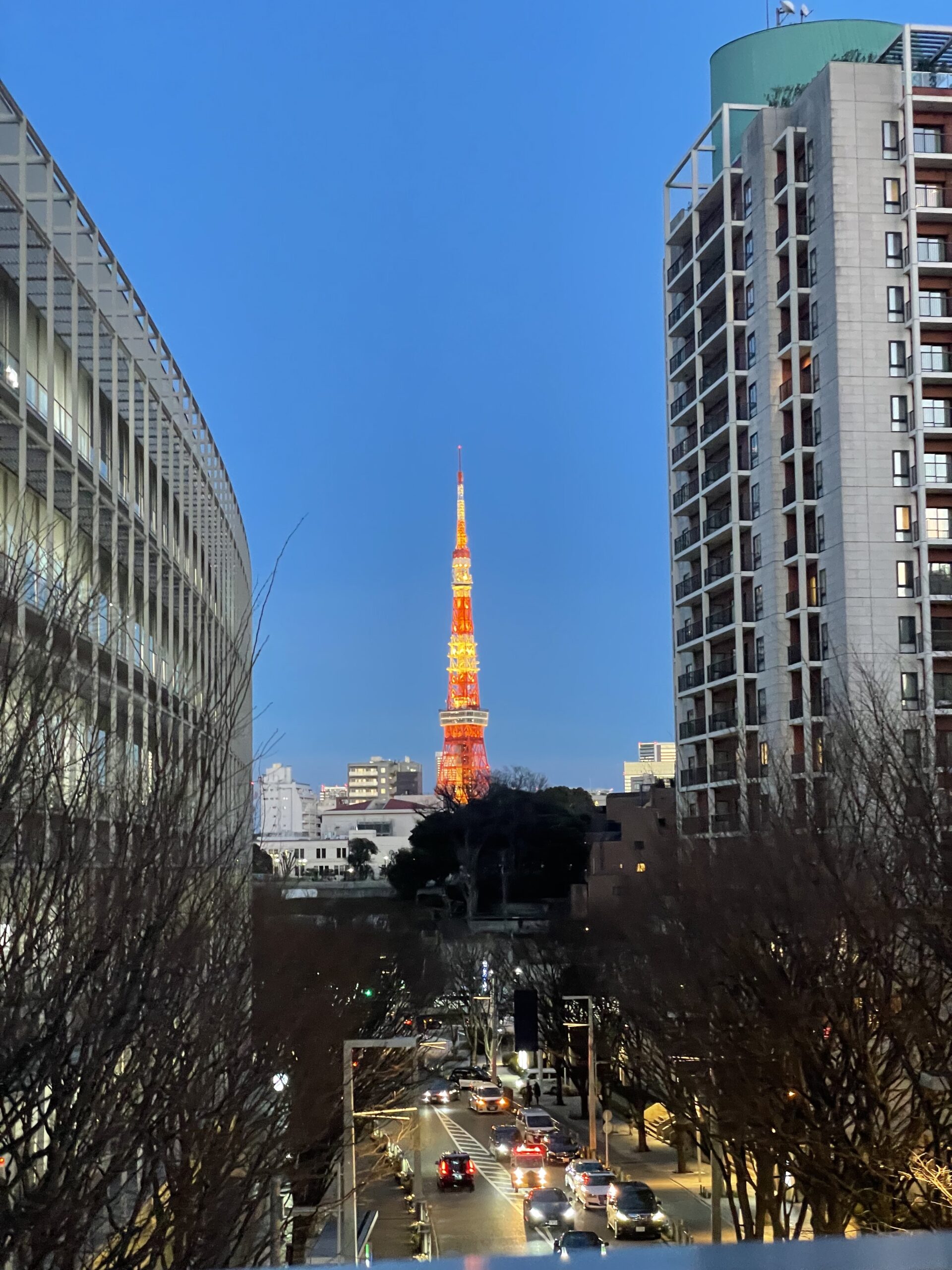 東京タワーとか桜とか