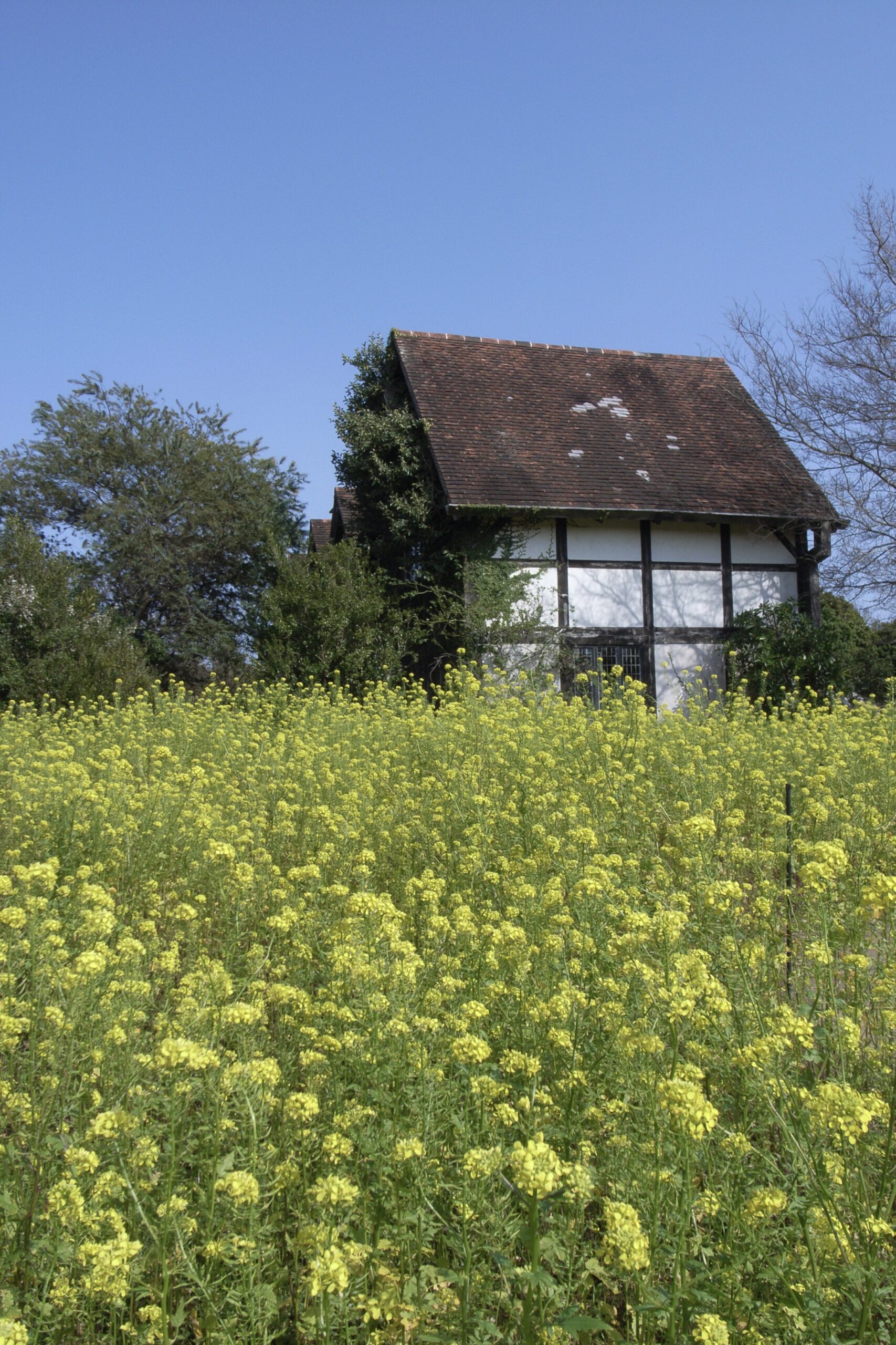 道の駅ローズマリー公園