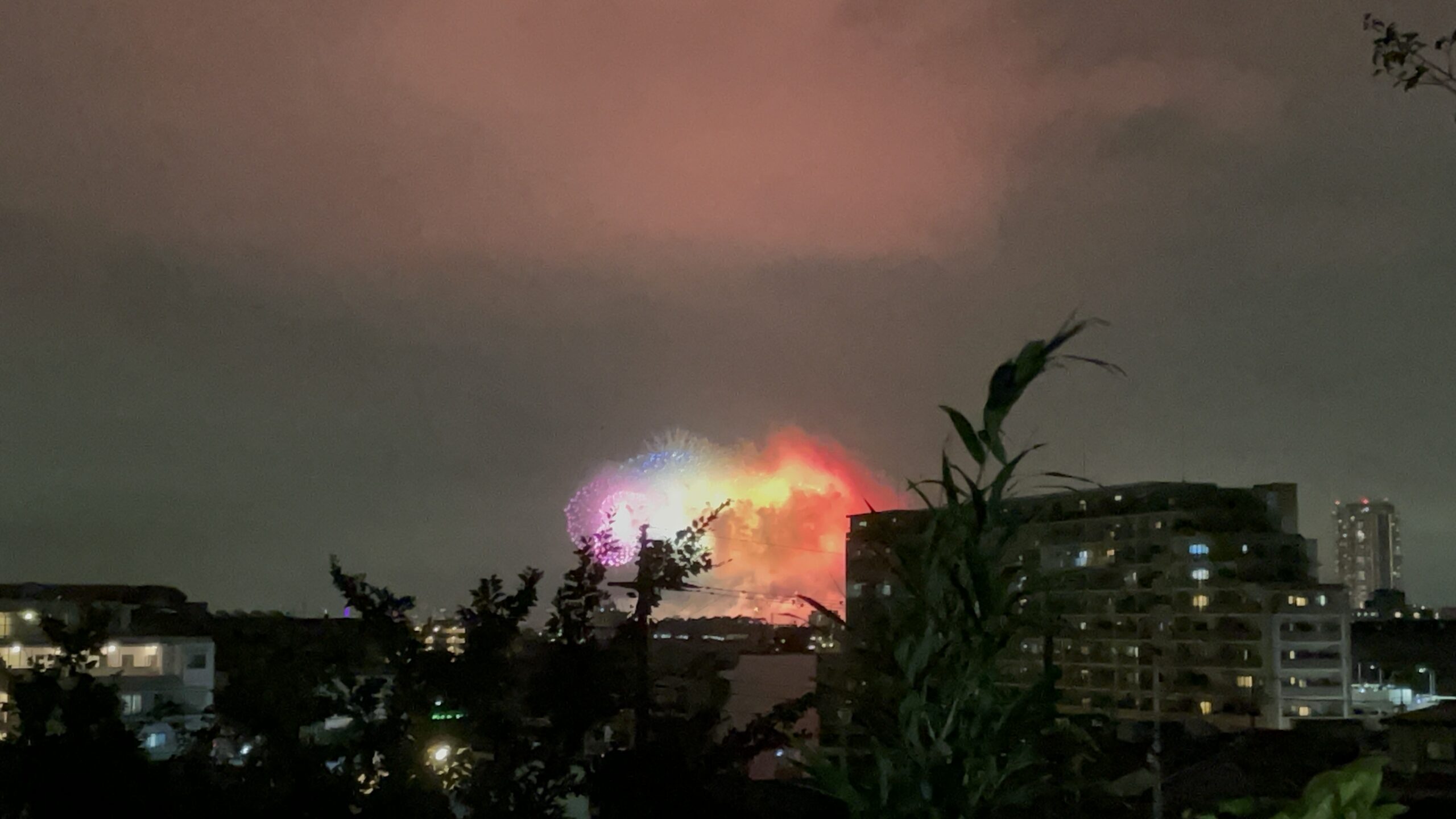 市川の花火大会（2024年）