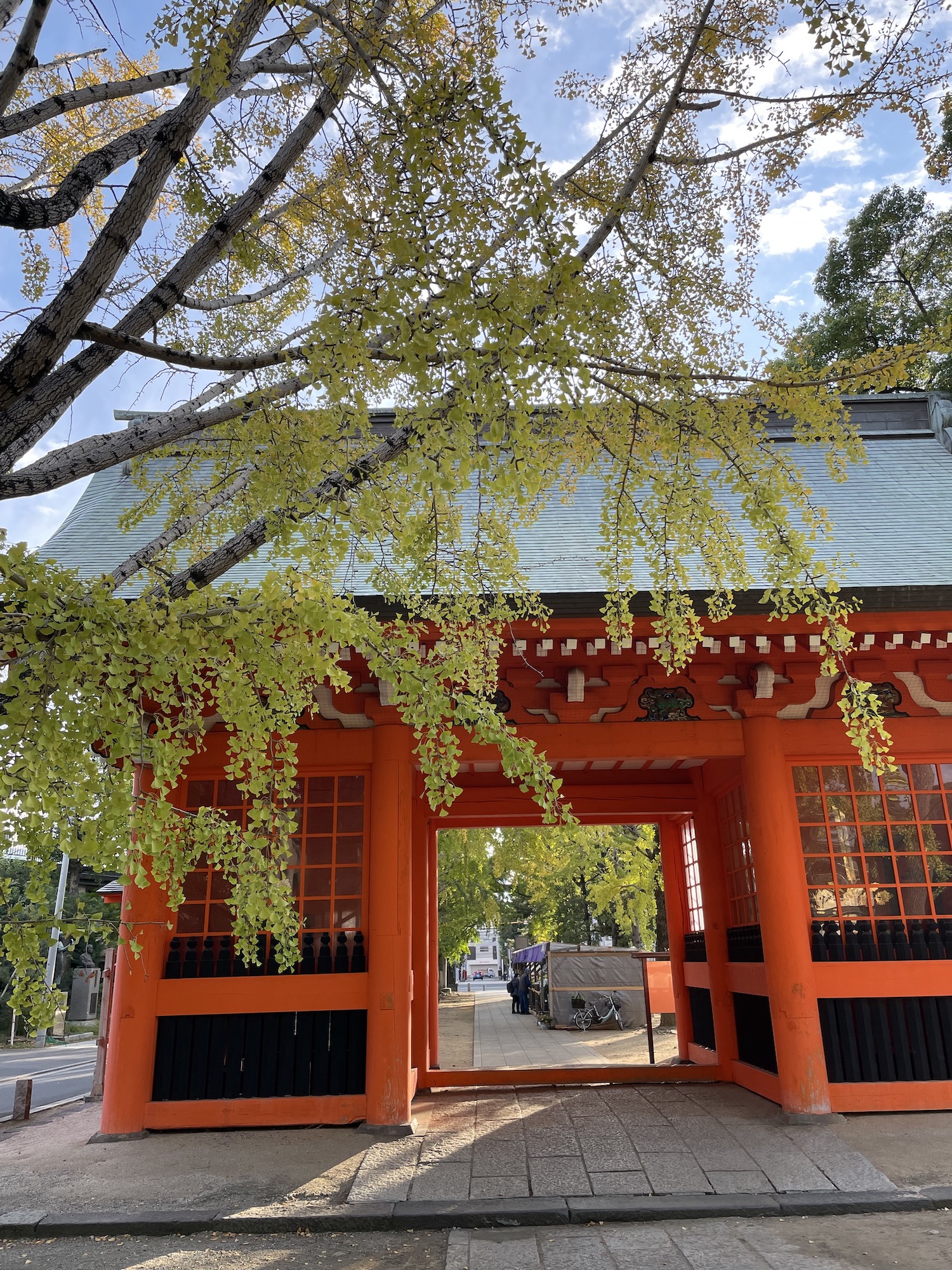 葛飾八幡宮の紅葉は、まだ先