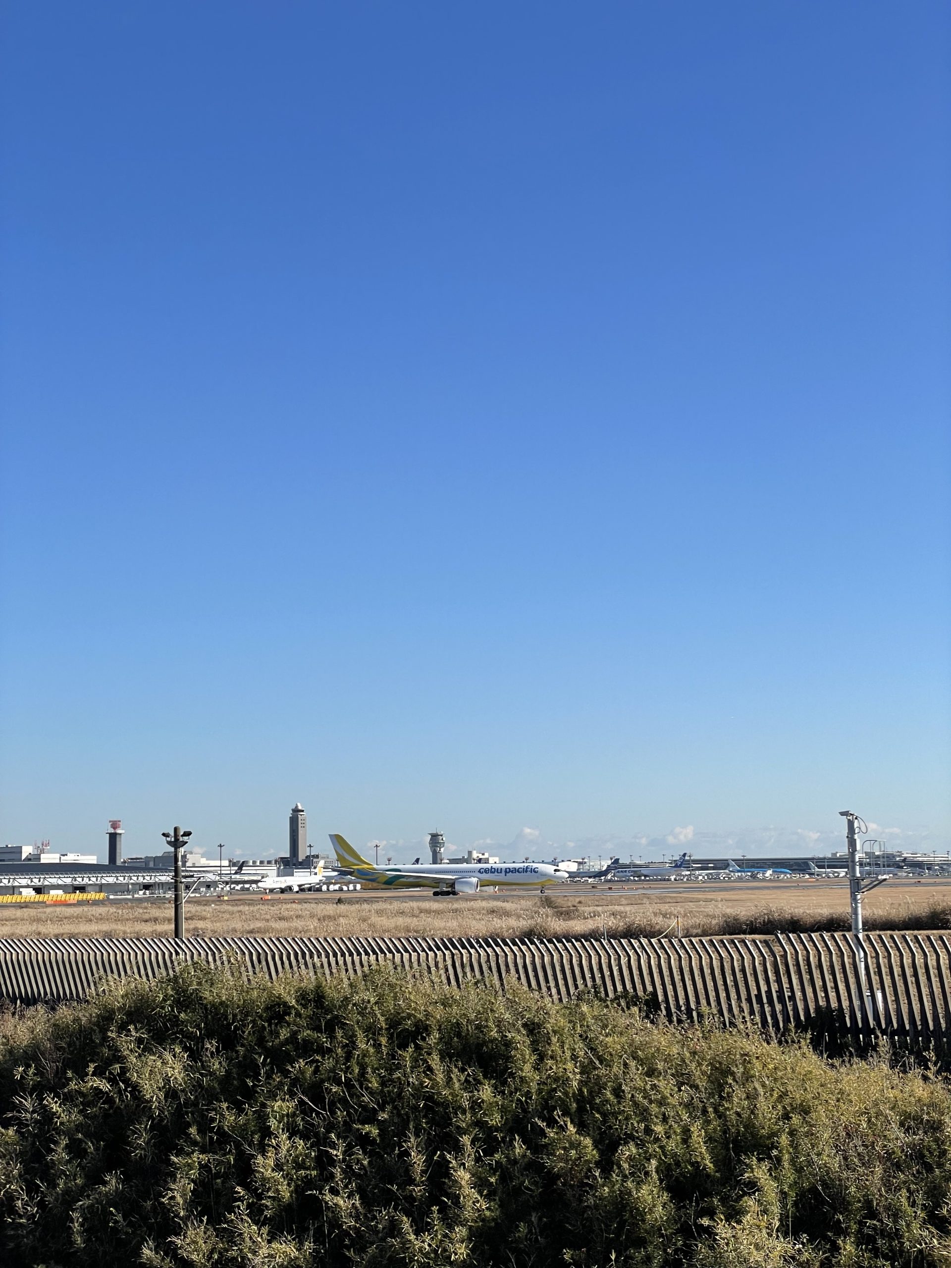 成田で飛行機みてきた