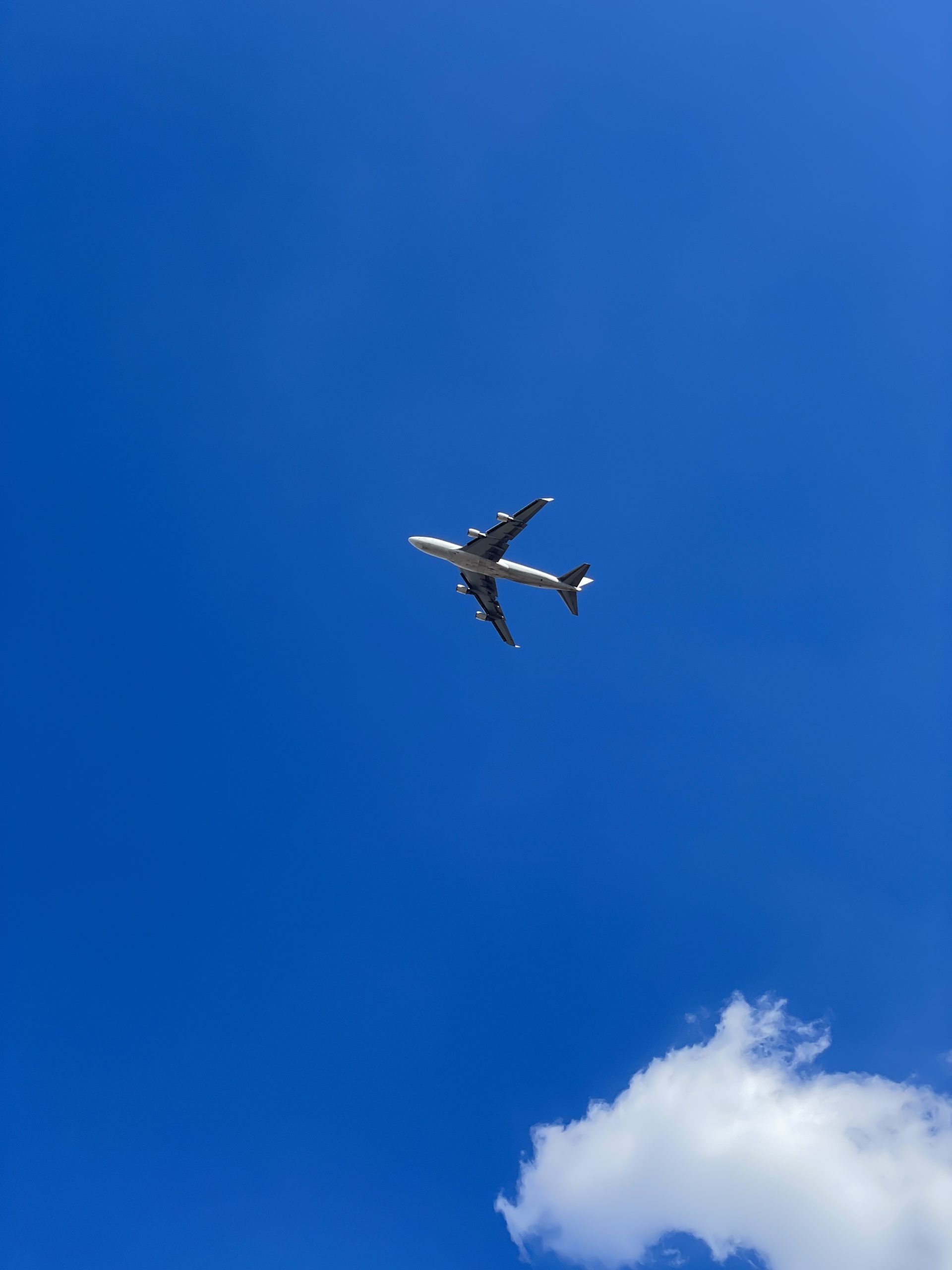 成田で飛行機をみてきた