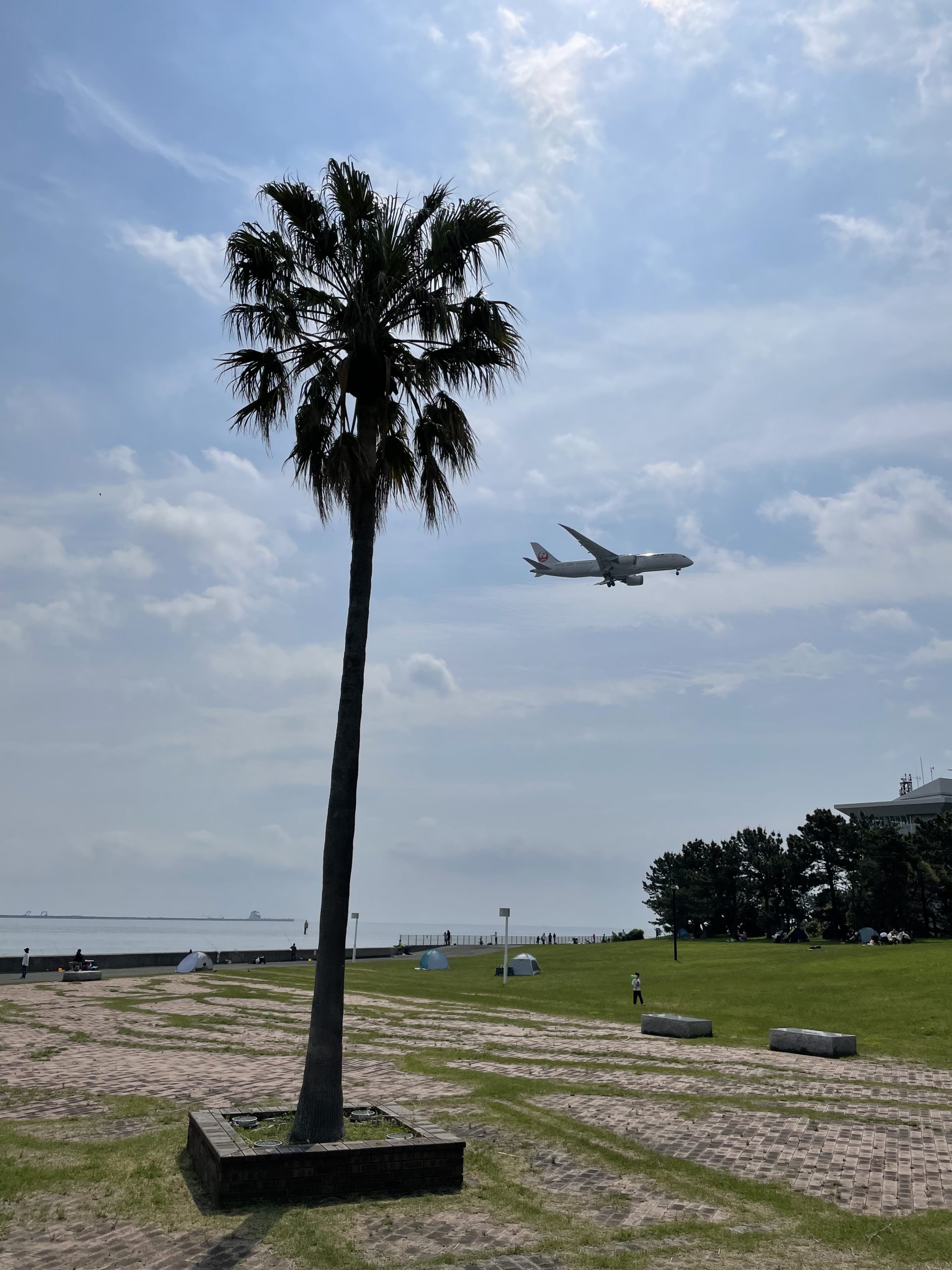 釣りに行ってきた